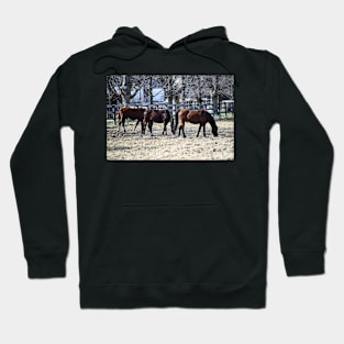 Grazing in the Sun Hoodie